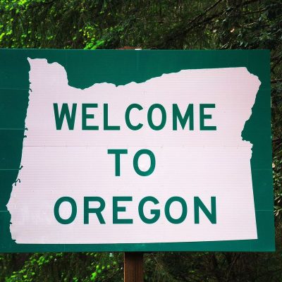 close-up-information-sign-against-trees-800h